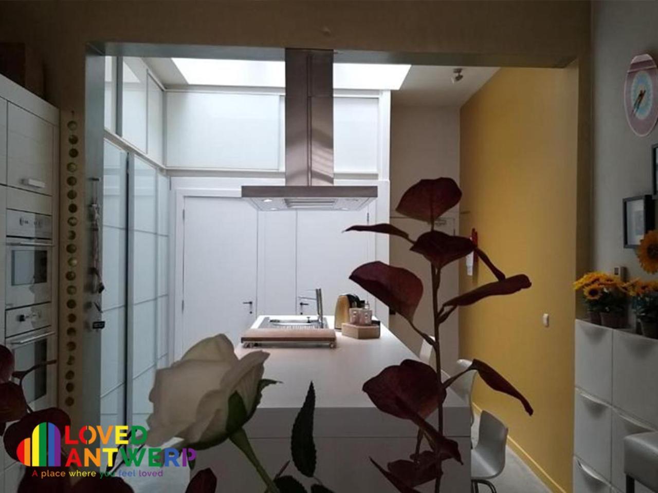 Апартаменты Wellness Loft With Sauna, Jacuzzi, Roof Terrace & Amazing View Антверпен Экстерьер фото
